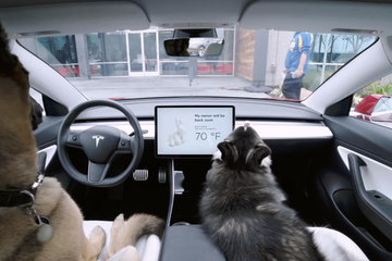 Tesla’s Dog Mode not working in 2024.20.1, fix coming soon